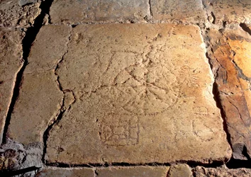 Lithostrotos, l